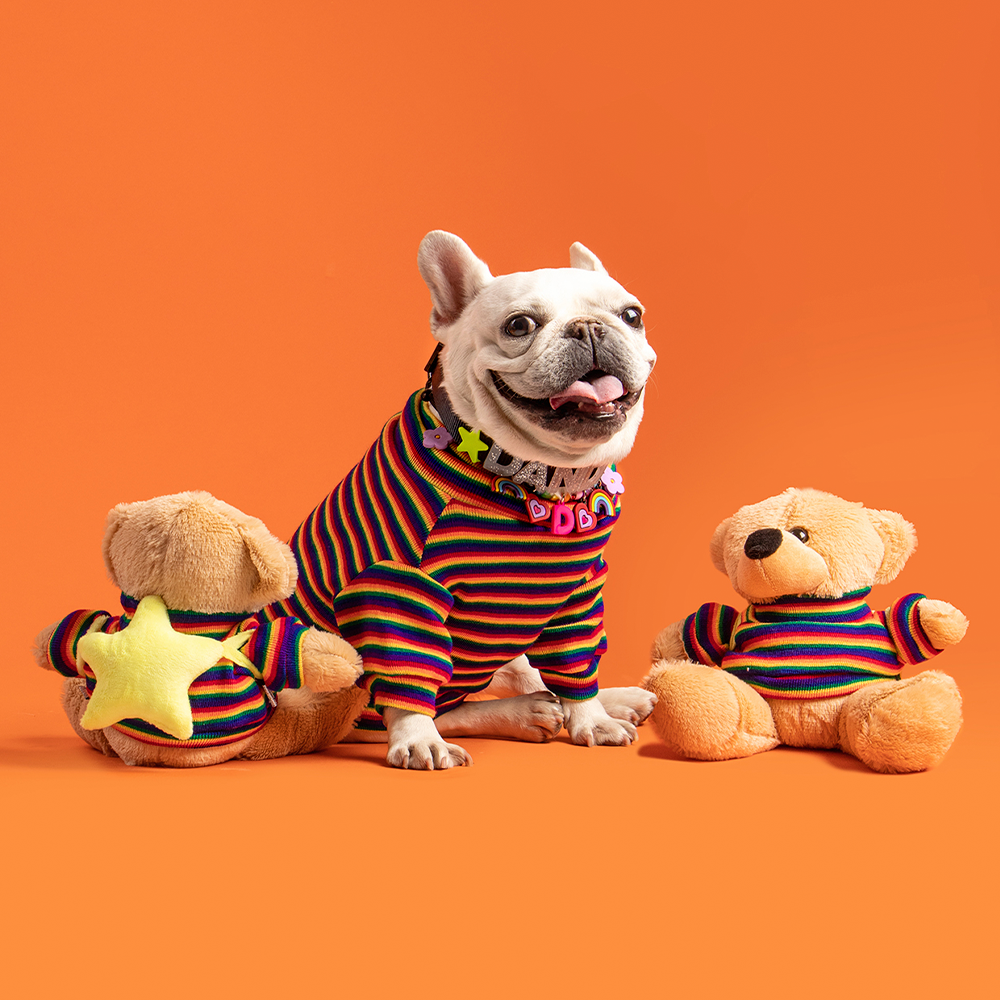 JUGUETE PARA MASCOTA BFF TEDDY🧸❤️