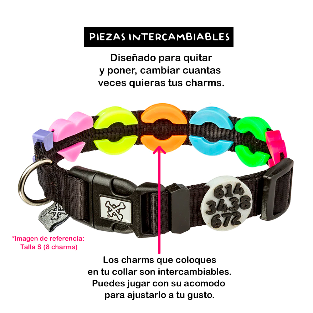 COLLAR PARA MASCOTA DE CHARMS®