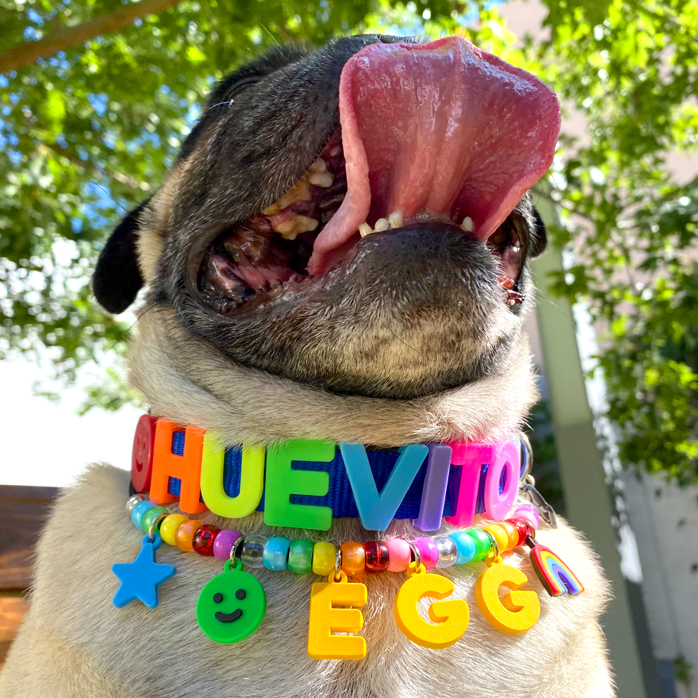 COLLAR PARA MASCOTA GUMMY