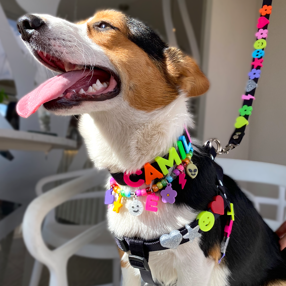 PECHERA CON CORREA DE CHARMS PARA MASCOTAS