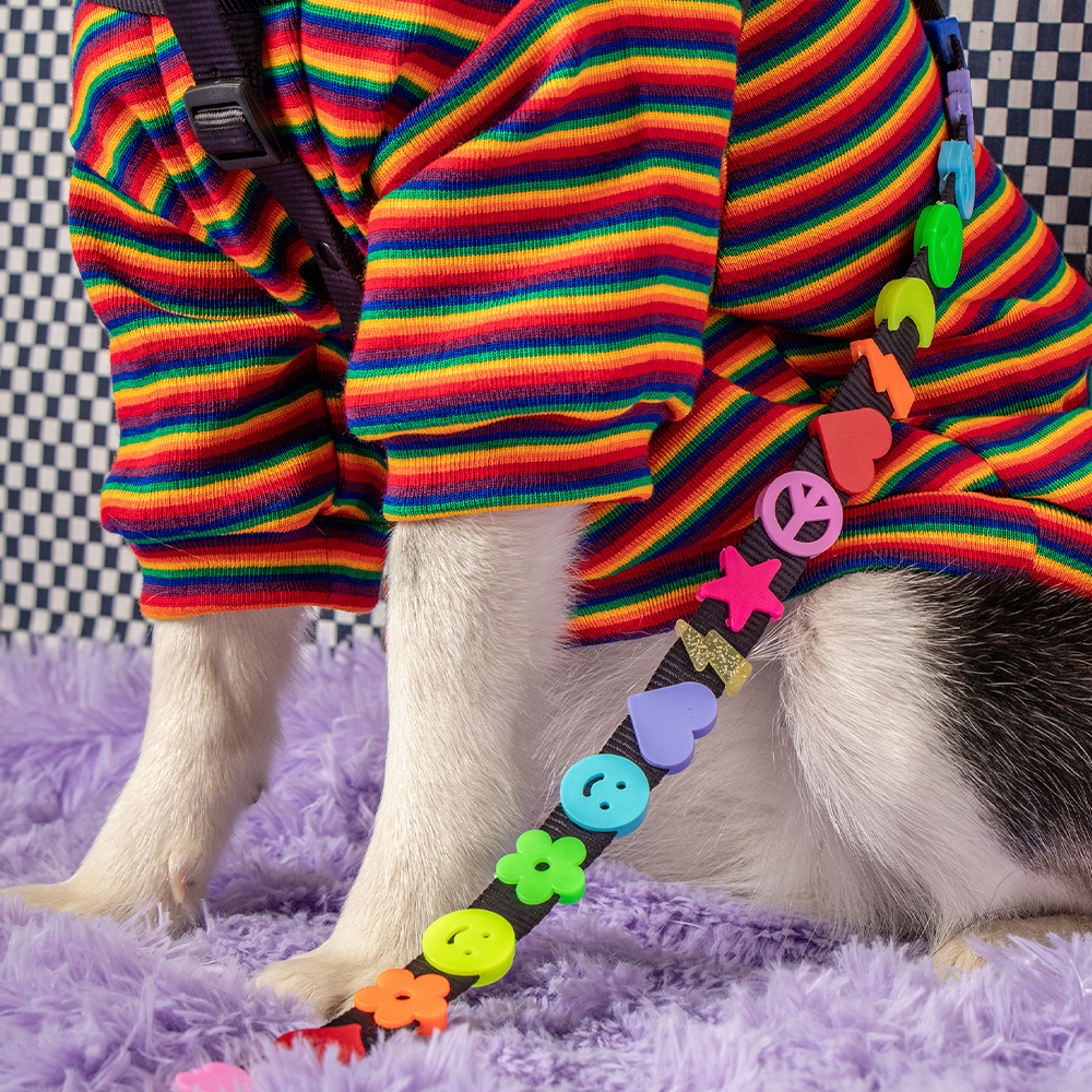 PECHERA CON CORREA DE CHARMS PARA MASCOTAS