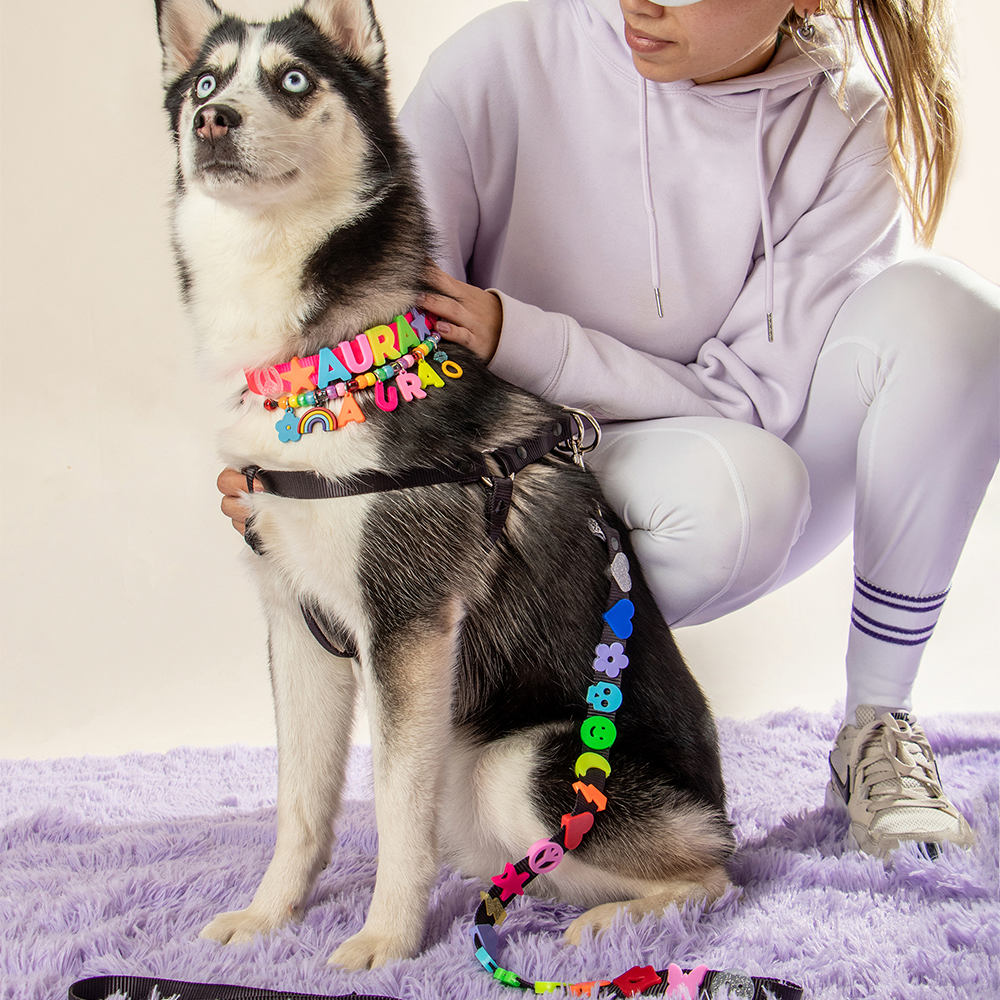 PECHERA CON CORREA DE CHARMS PARA MASCOTAS