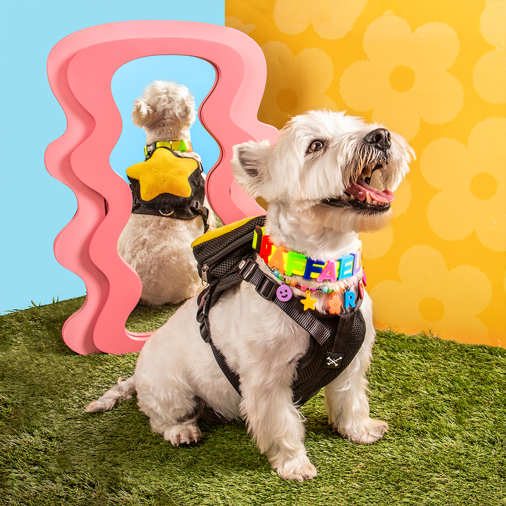 PECHERA MOCHILA PARA MASCOTA ESTRELLA⭐️