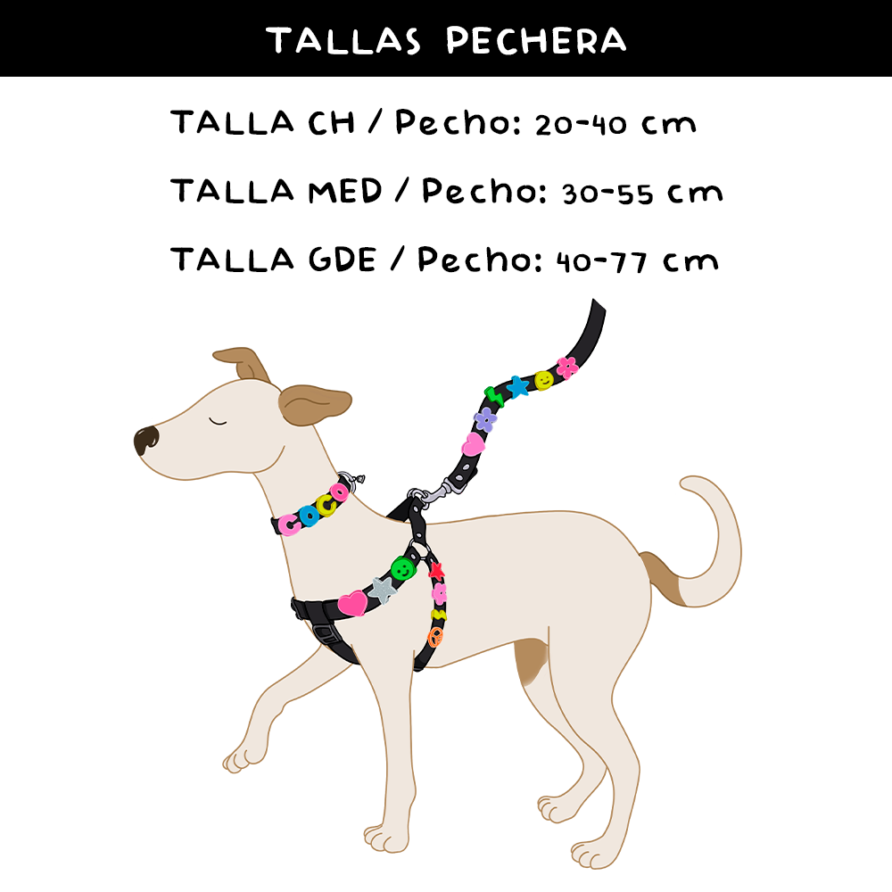PECHERA CON CORREA DE CHARMS PARA MASCOTAS