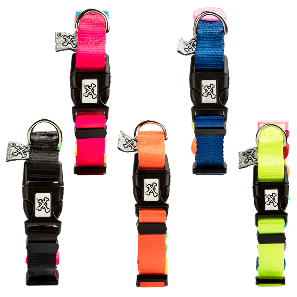 COLLAR PARA MASCOTA DE CHARMS®