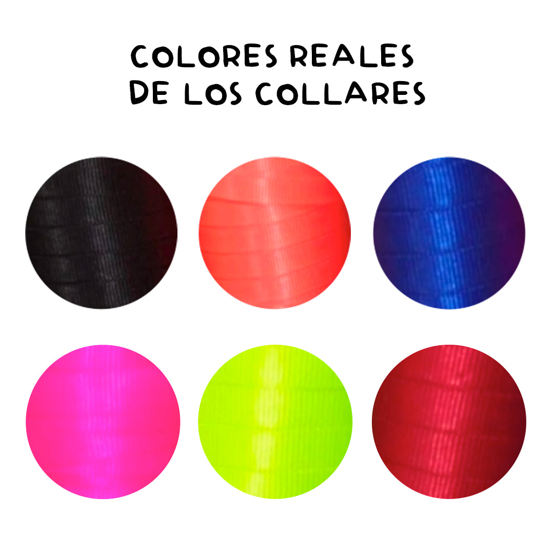 COLLAR PARA MASCOTA DE CHARMS EXTRA CHICO® (GATOS Y RAZAS XS)