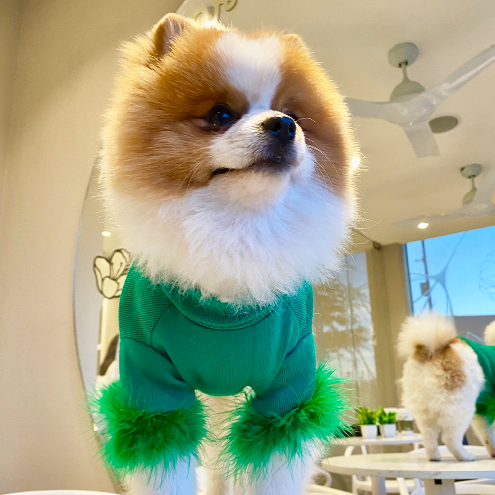 Greench Sweater Plumas