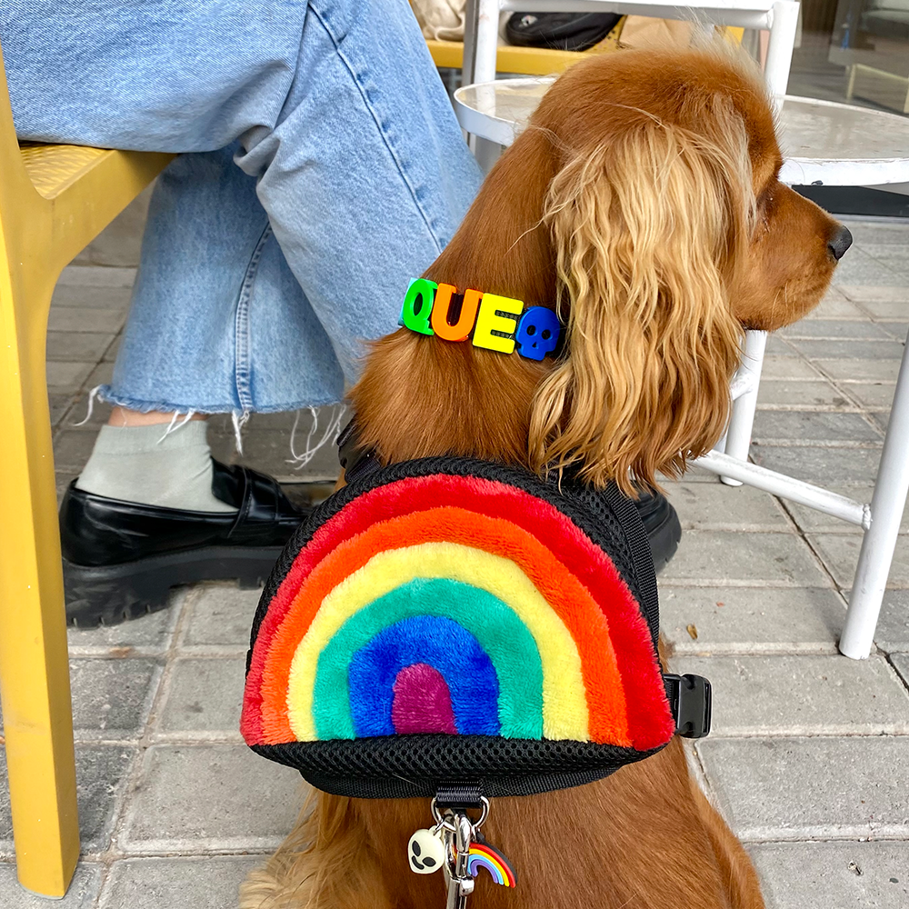 PECHERA MOCHILA PARA MASCOTA ARCOÍRIS🌈