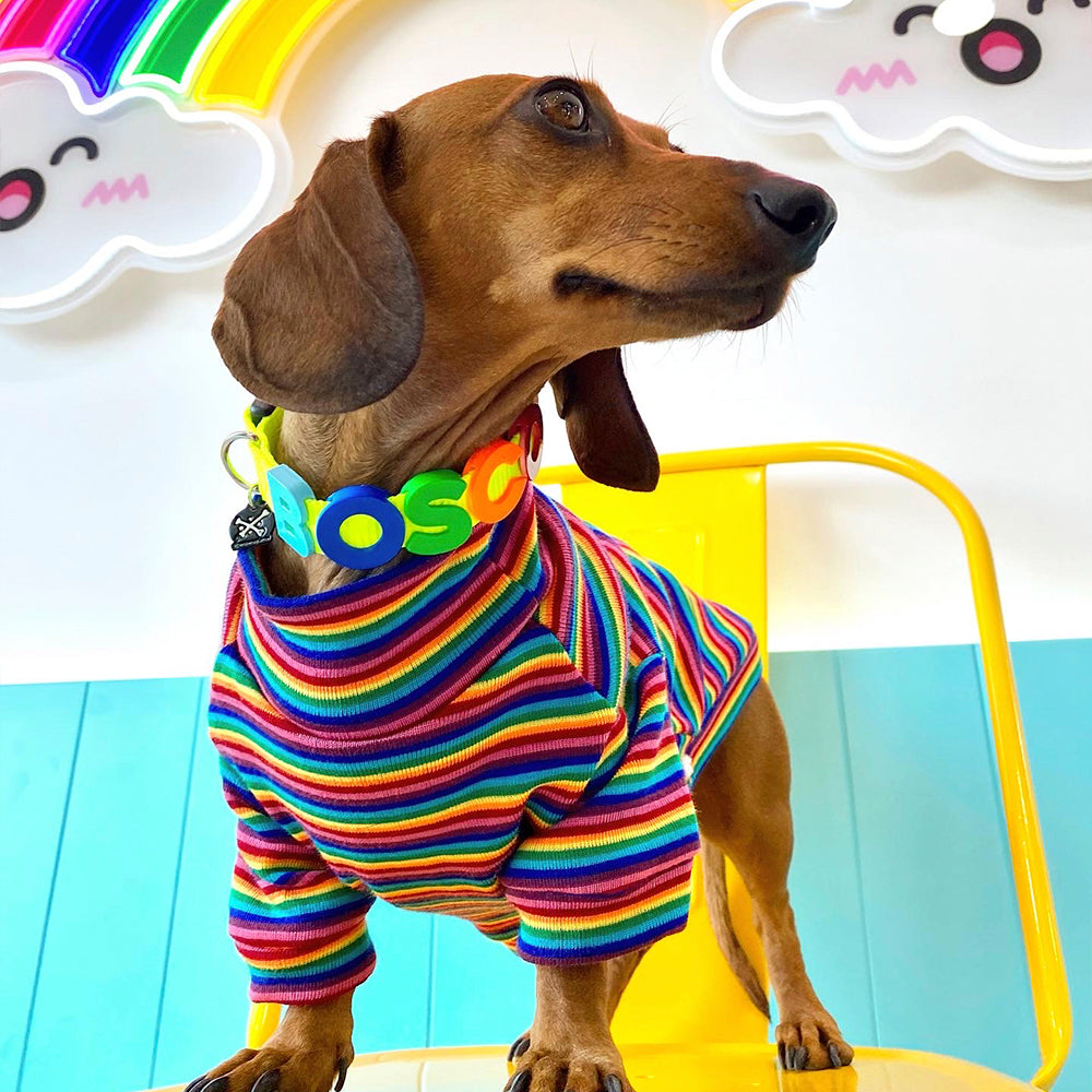 RAINBOW SHIRT ⭐️