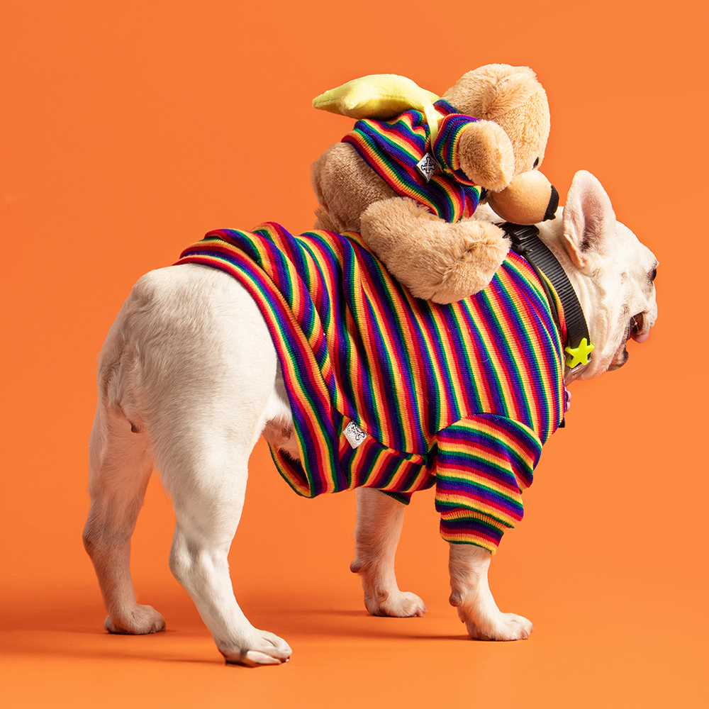 ROPA COOL PARA MASCOTA 🌈