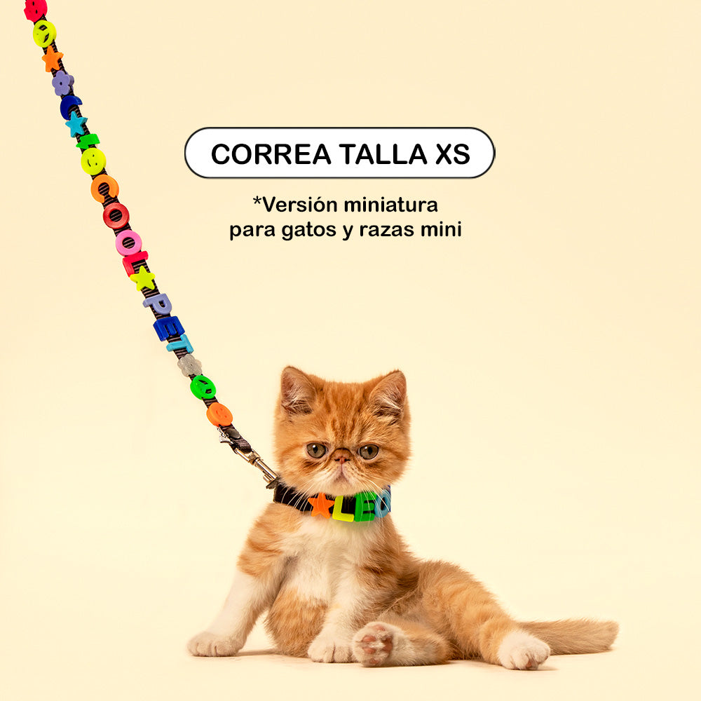 CORREA PARA GATO Y RAZAS CHICAS 🐈 🐶