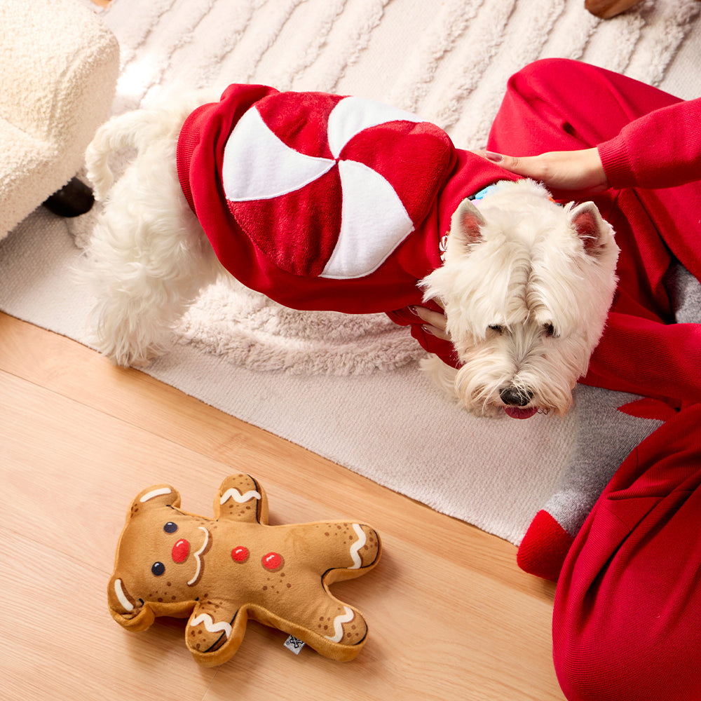 JUGUETE GALLETA PERRUNA