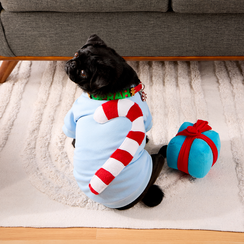 SUDADERA CARAMELO 3D