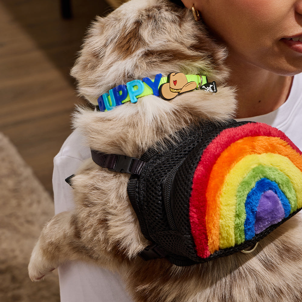 PECHERA MOCHILA PARA MASCOTA ARCOÍRIS🌈