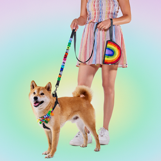 PECHERA CON CORREA DE CHARMS PARA MASCOTAS