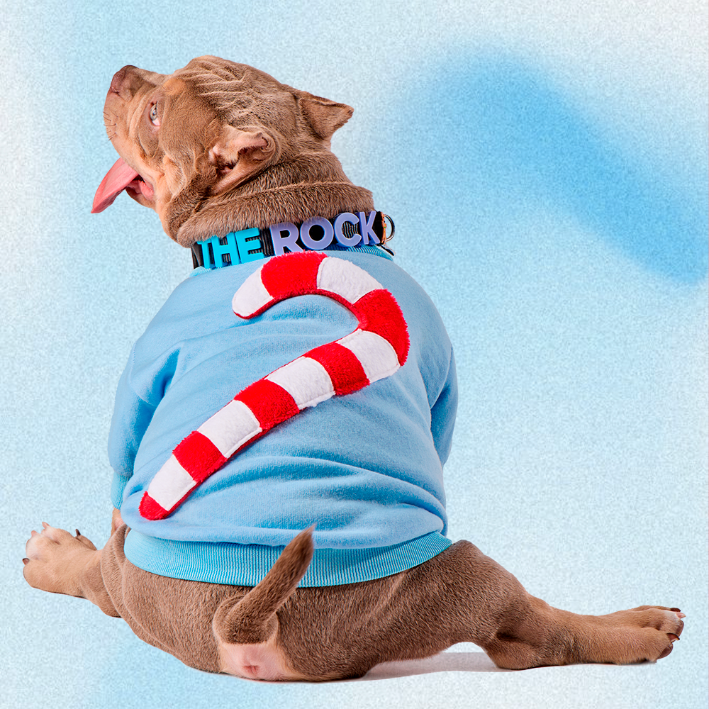 SUDADERA CARAMELO 3D